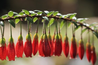 肇庆端州区9私人快速借钱网，轻松解决资金难题