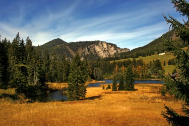 肇庆端州区9民间私贷攻略：揭秘低成本借贷的秘密