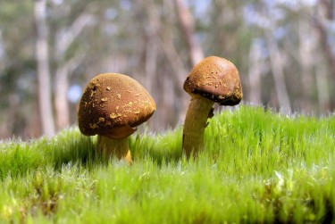 肇庆端州区9私人老板放款：轻松融资的秘密通道